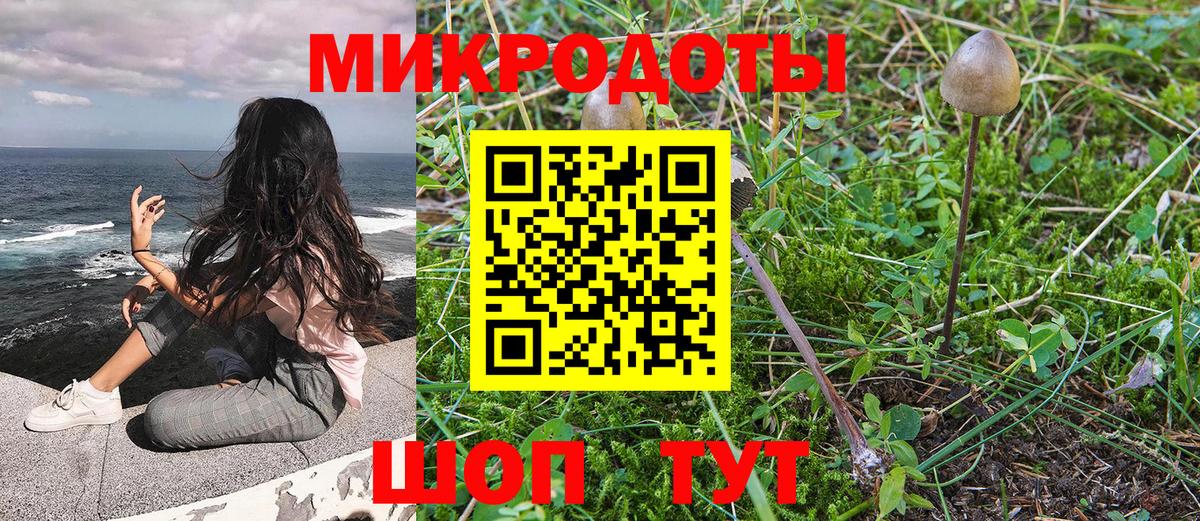 Кулебаки  Псилоцибиновые грибы мицелий  Вход с VPN 