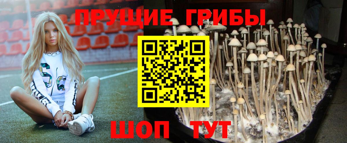 Галлюциногенные грибы мицелий Кулебаки